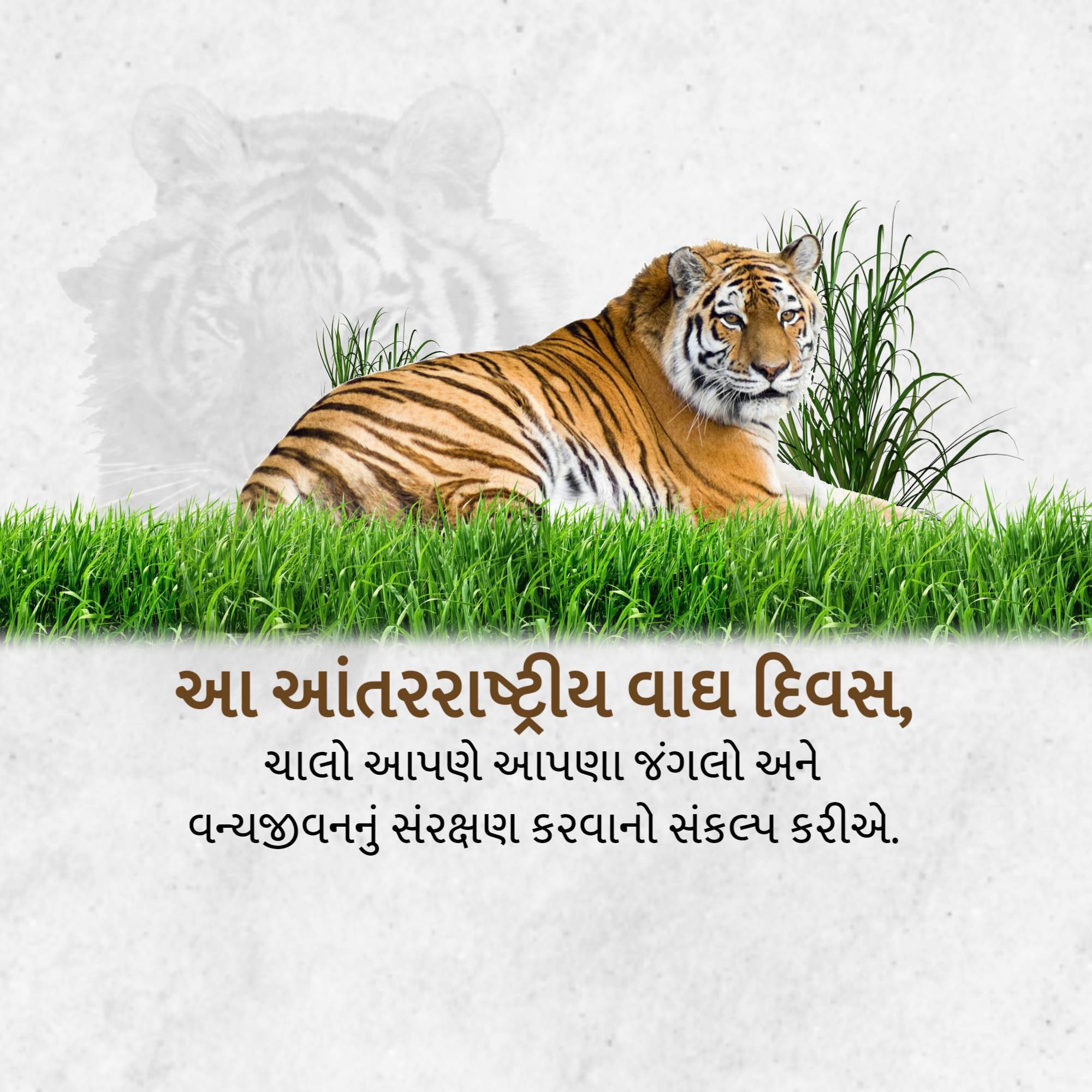 International Tiger Day