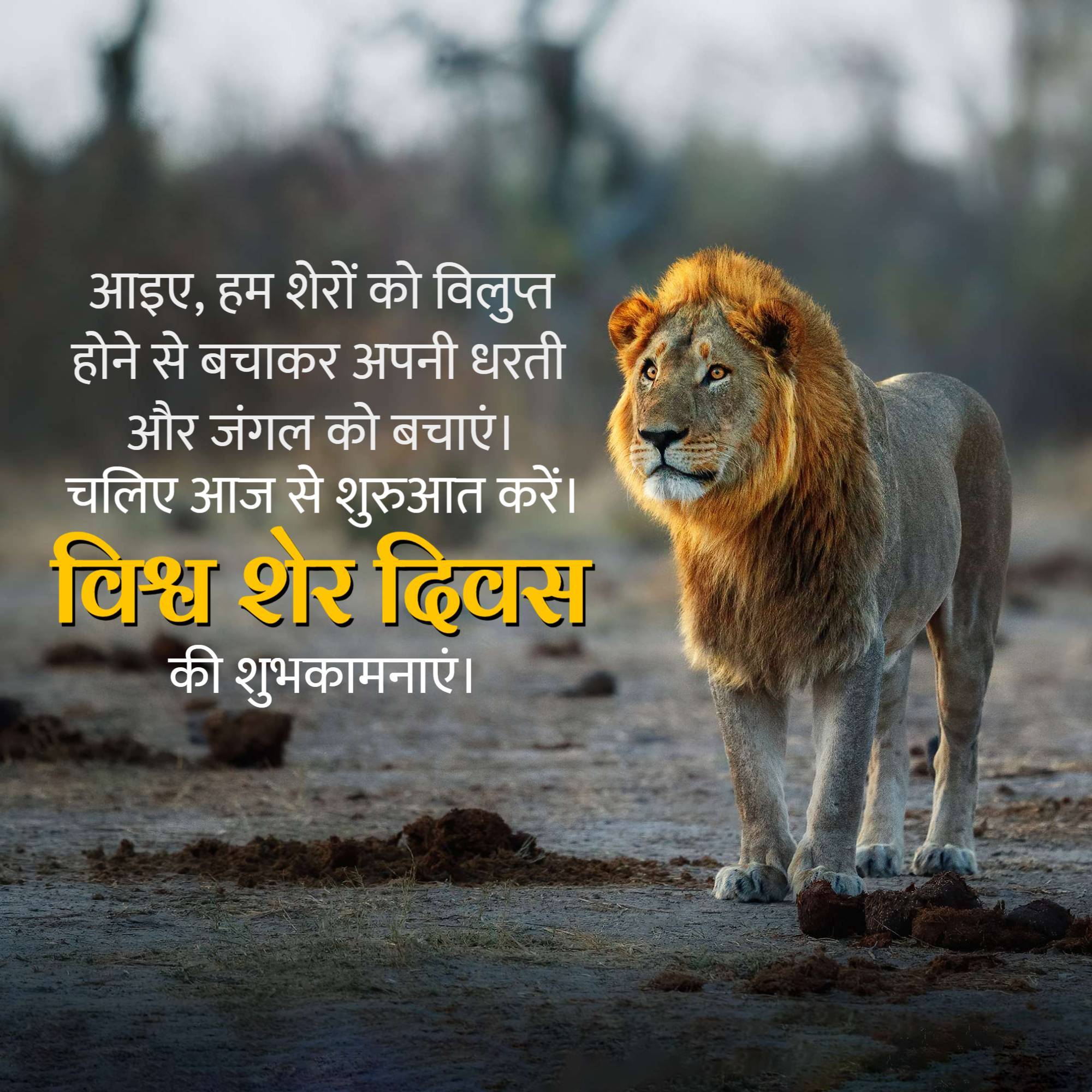 World Lion Day