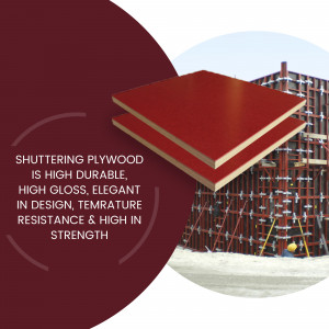 Plywood and Laminate