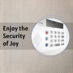 Security Surveillance