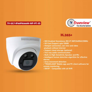 Security Surveillance