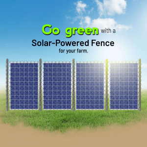 Solar