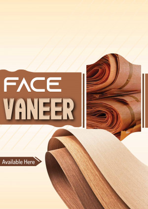 Plywood and Laminate