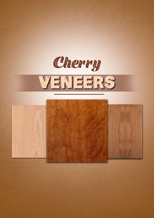 Plywood and Laminate