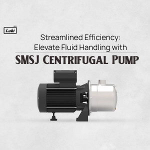 Submersible Pump