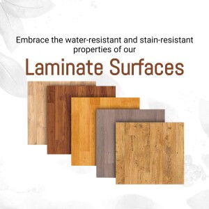 Plywood and Laminate